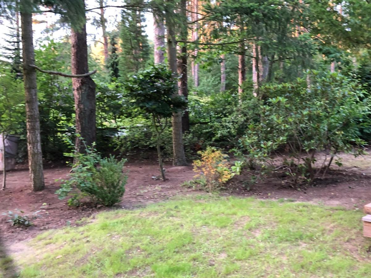 Ferienhaus Reetdach 1300Qm Privatgrundstueck Bootssteg Sauna Templin Luebbesee Uckermark Erholung Pur Seenplatte Petersdorf  外观 照片